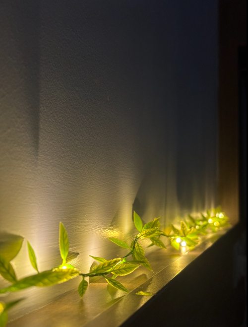 Vine fairy lights